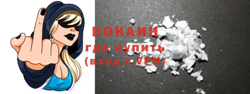 Cocaine Fish Scale  как найти закладки  кракен tor  Нюрба 